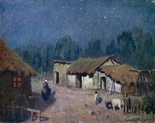 A Moonlight Night in Central Argentina